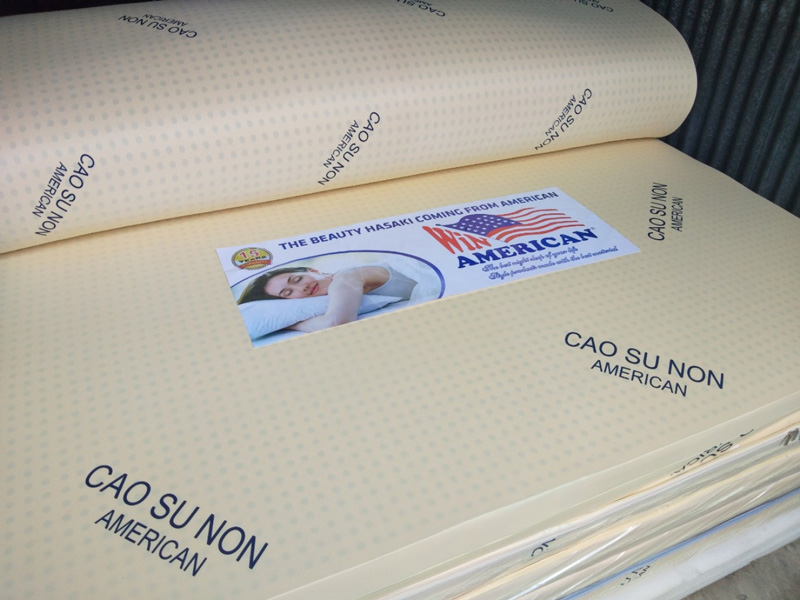 Nệm Cao Su Non Giảm Đau Lưng